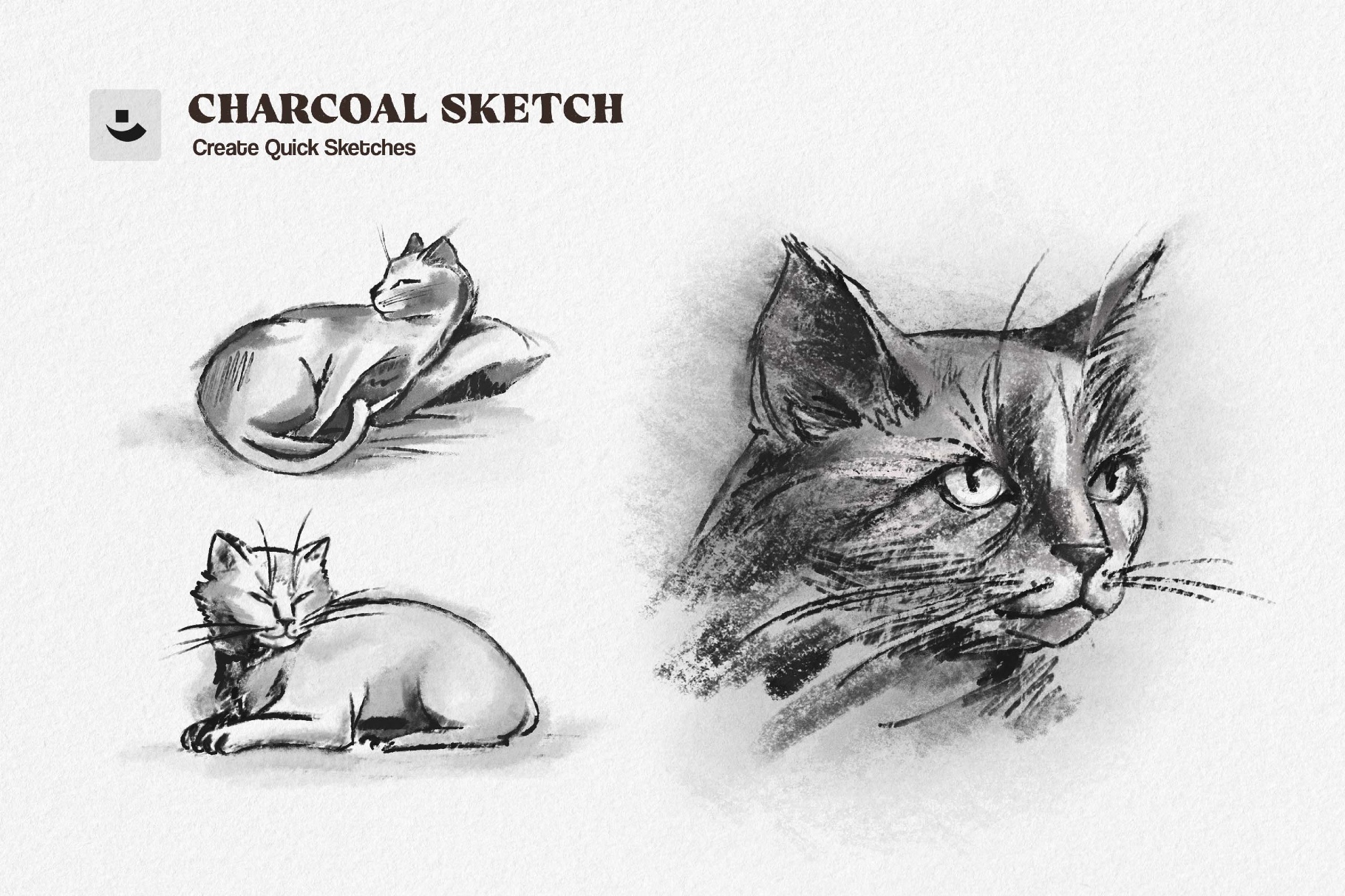 Multi-App Charcoal Sketch Brushes