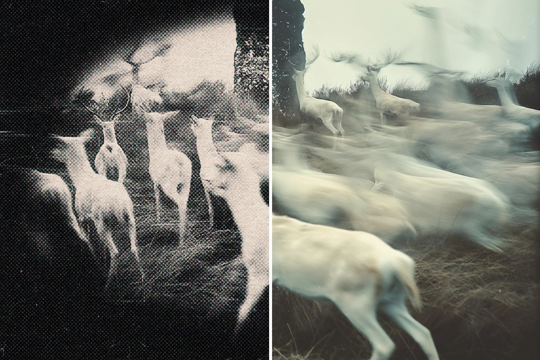 Pin Hole Camera Effect