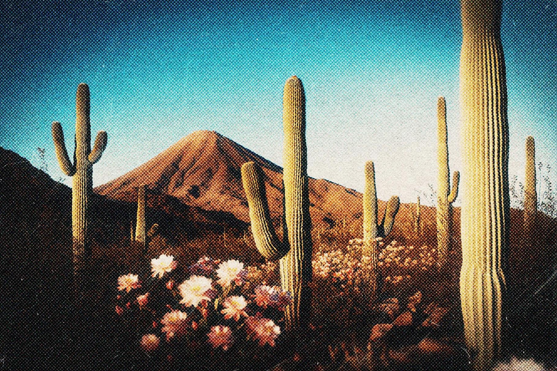 Nostalgic Grain Card Effect