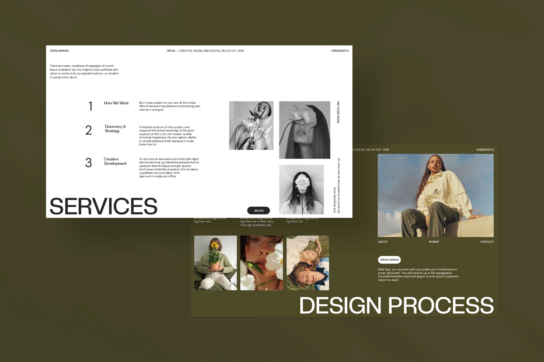 Orixa Portfolio Presentation Template