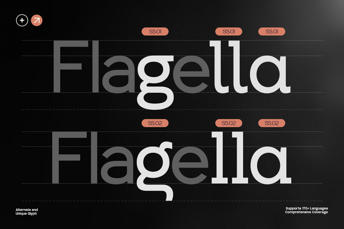 GC Allio – Minimal Sans Mastery