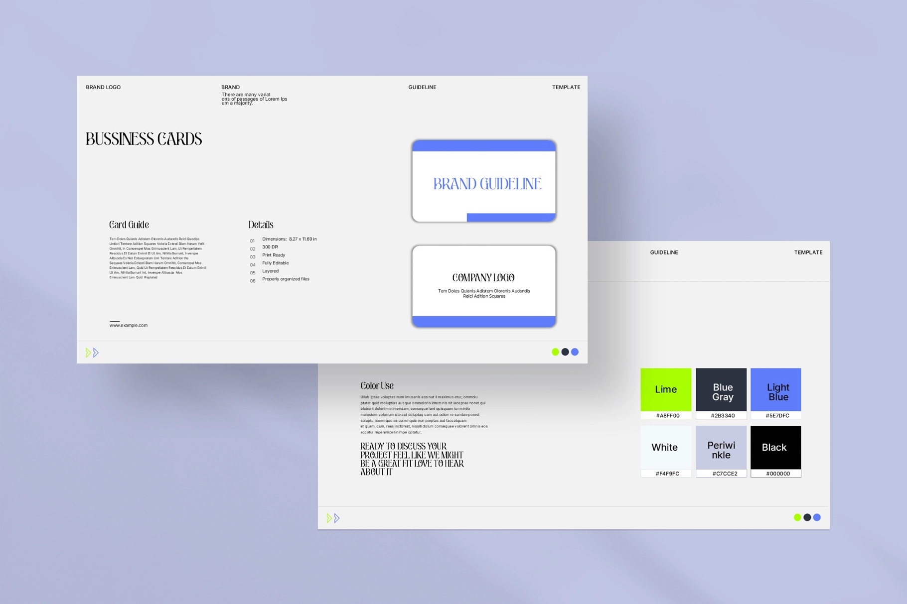 Brand Guideline Presentation Template