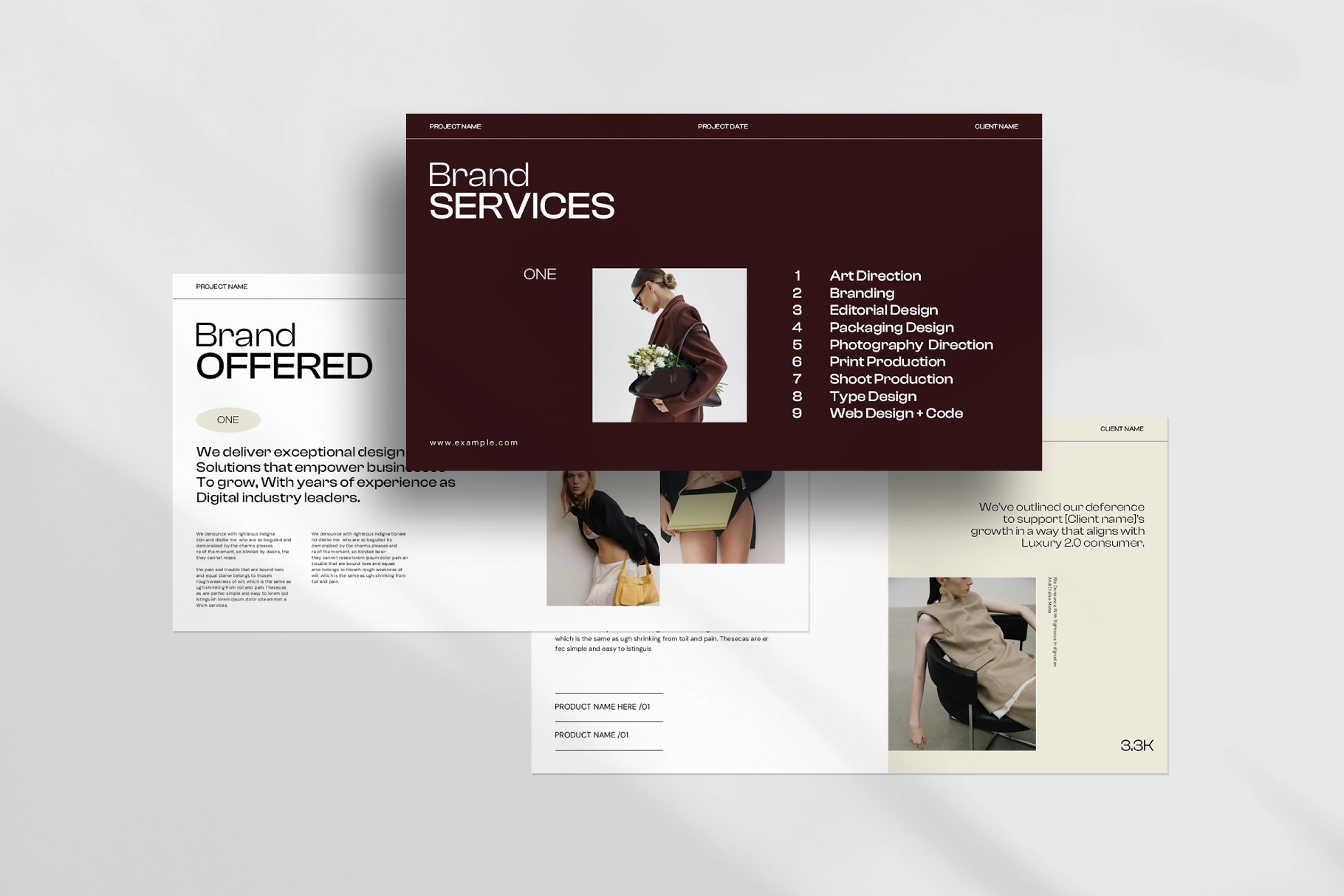 Services Guide Presentation Template