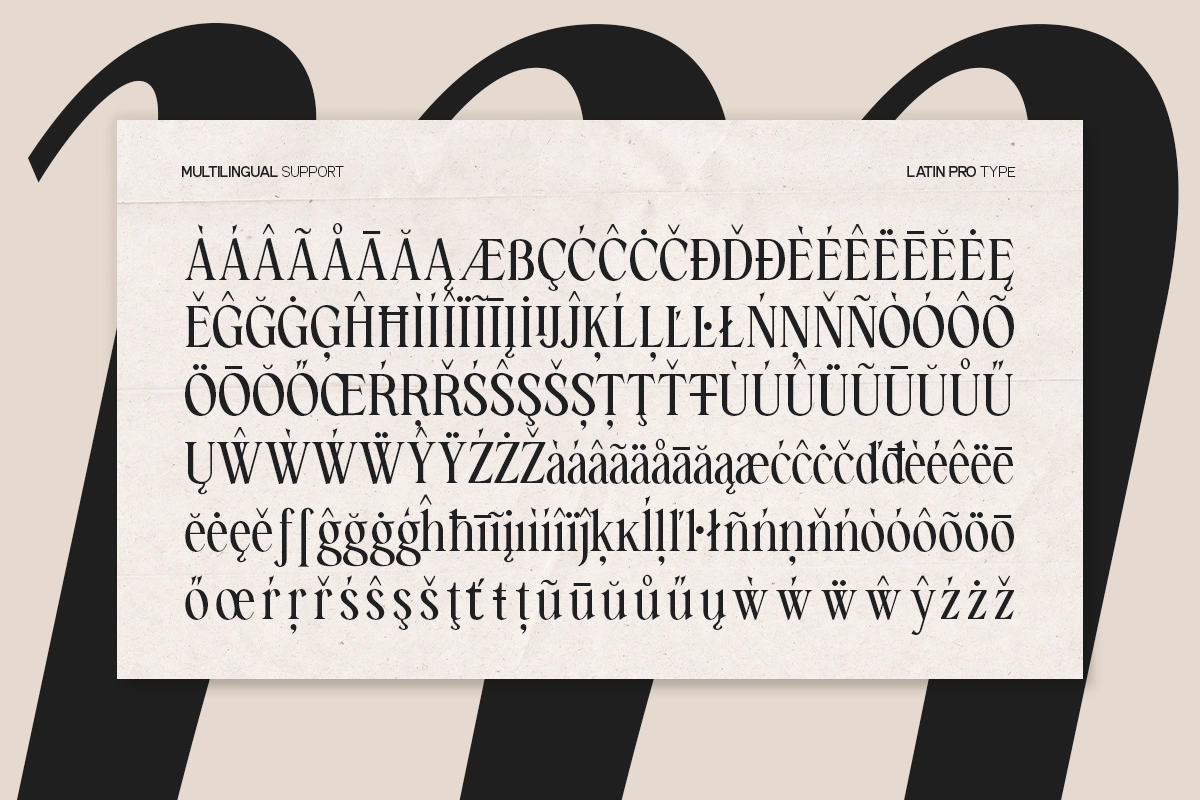 GC Amelie Promised – Italic Serif