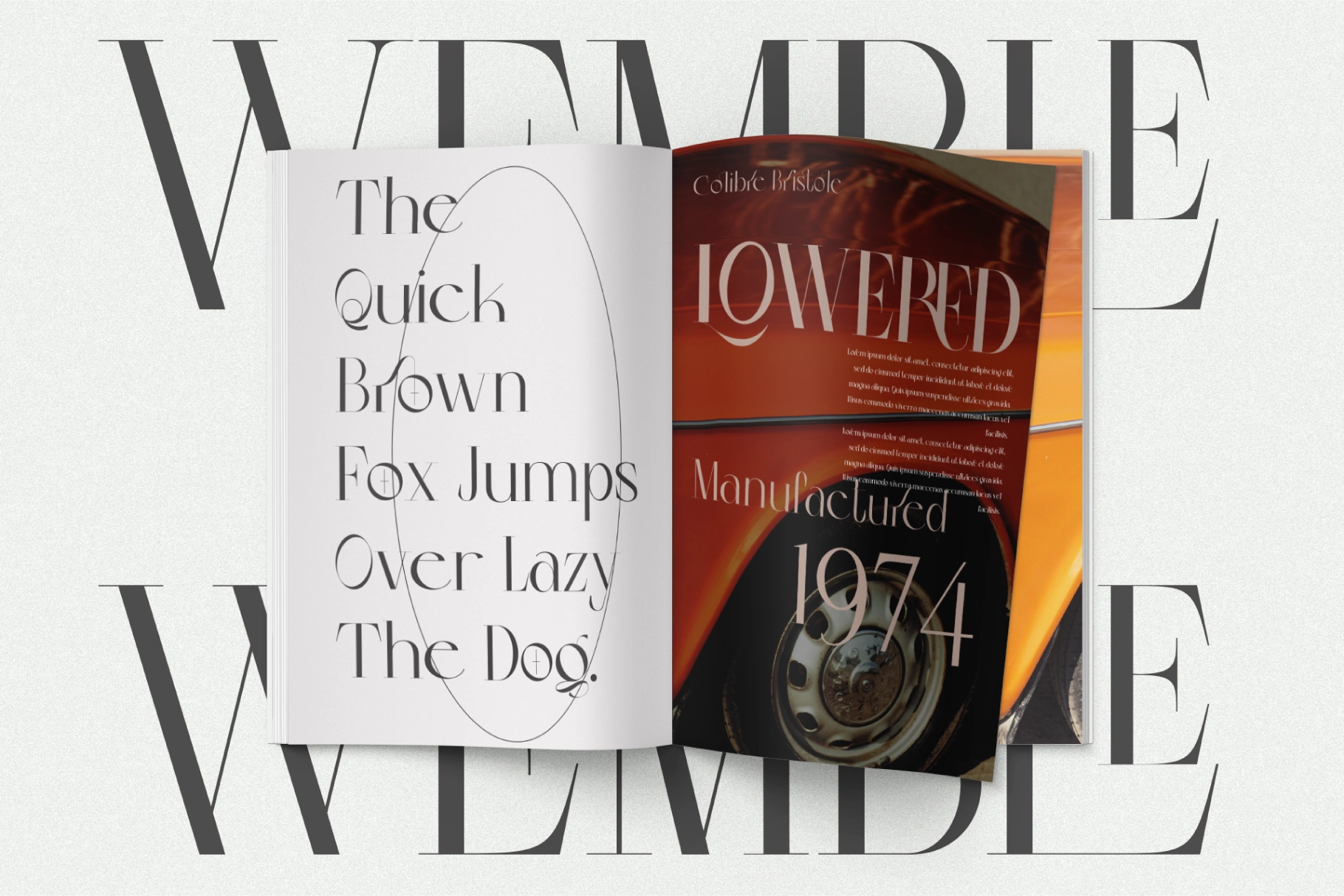 Colibre Bristole Pro - Serif Font