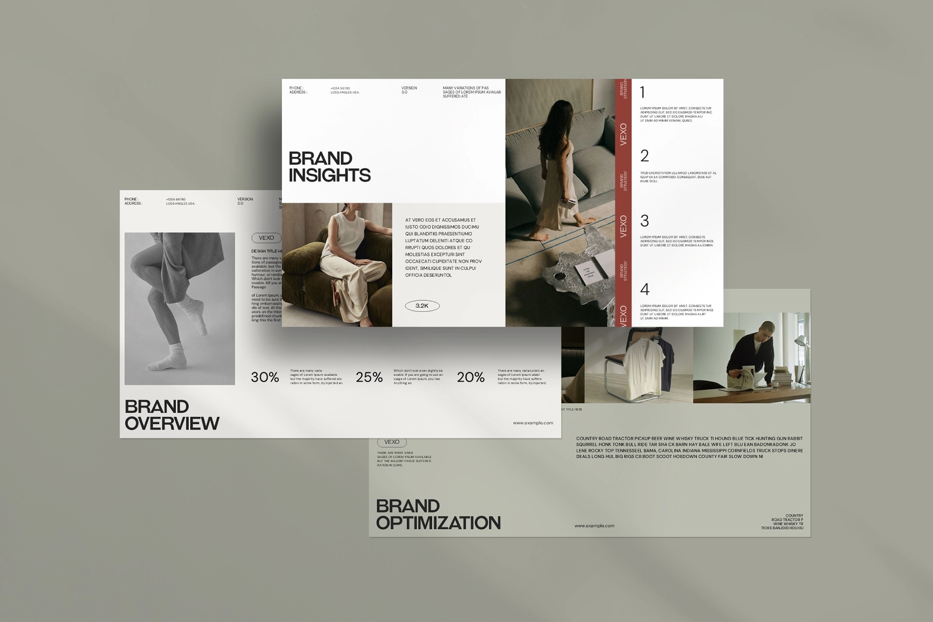 Vexo Brand Strategy Presentation Template
