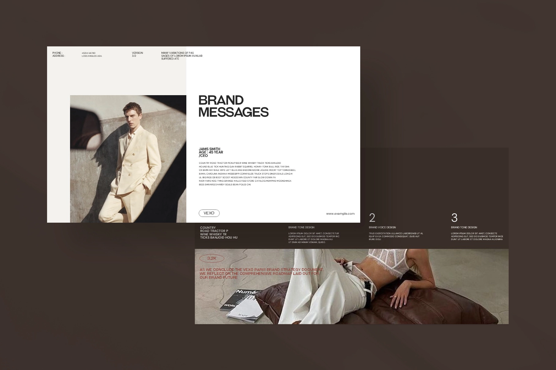 Vexo Brand Strategy Presentation Template