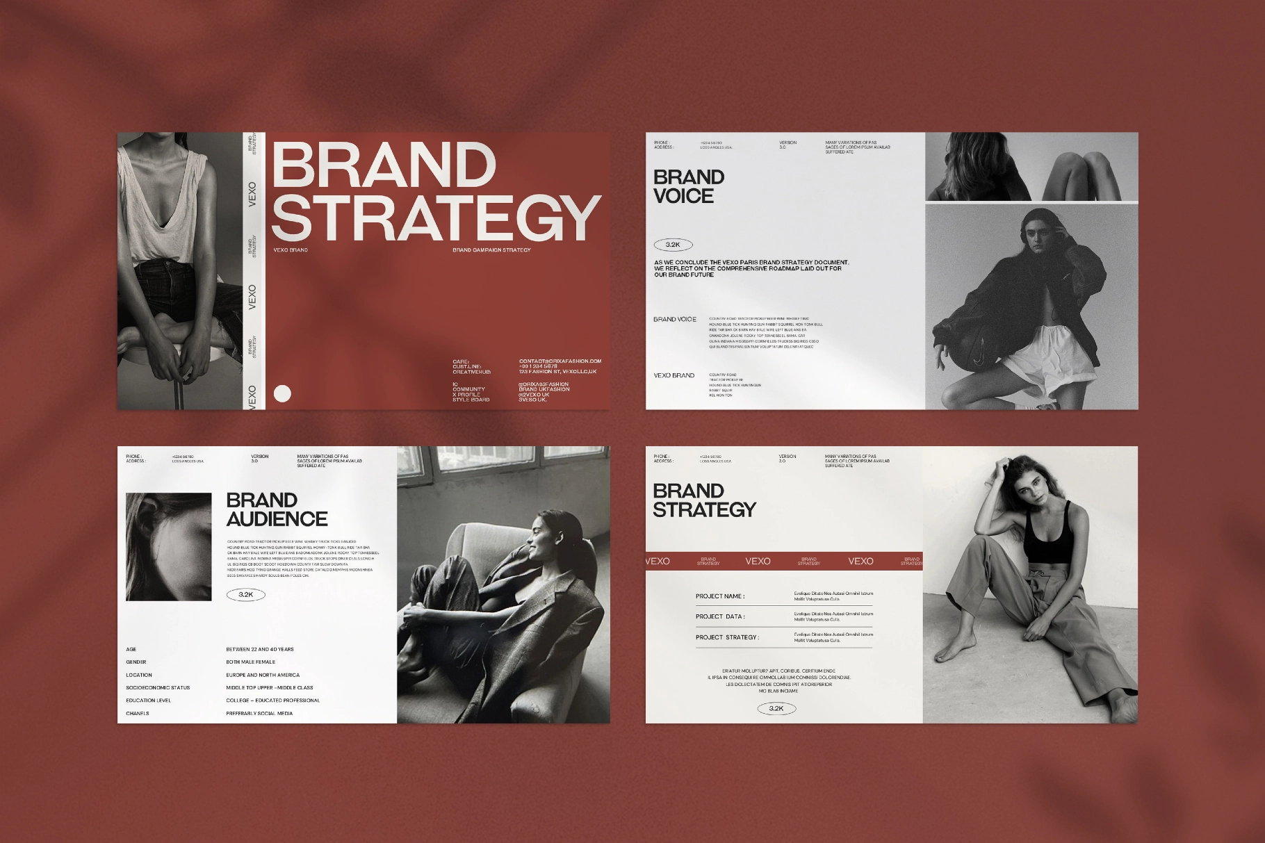 Vexo Brand Strategy Presentation Template