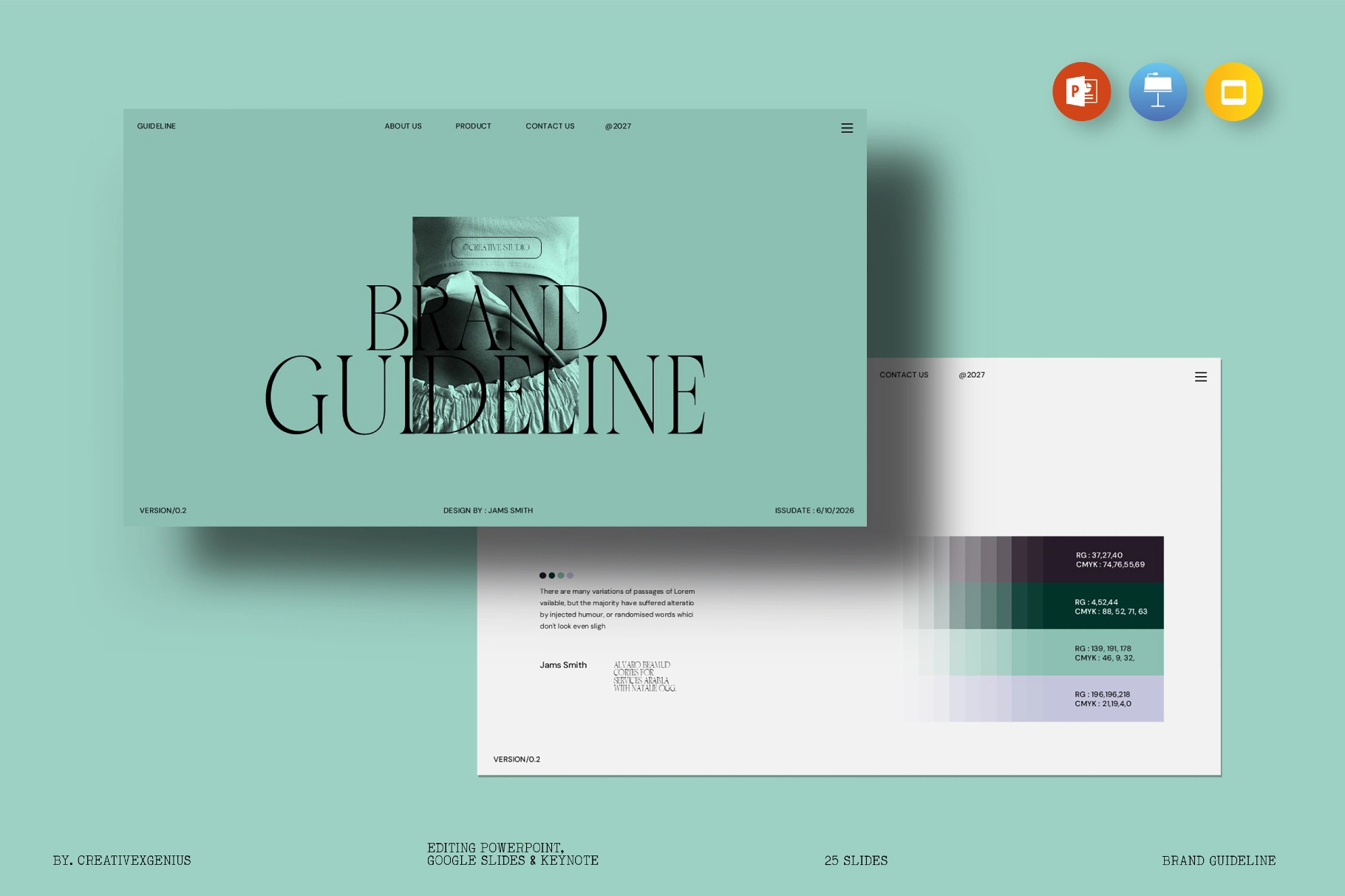 Brand Guideline Presentation Template