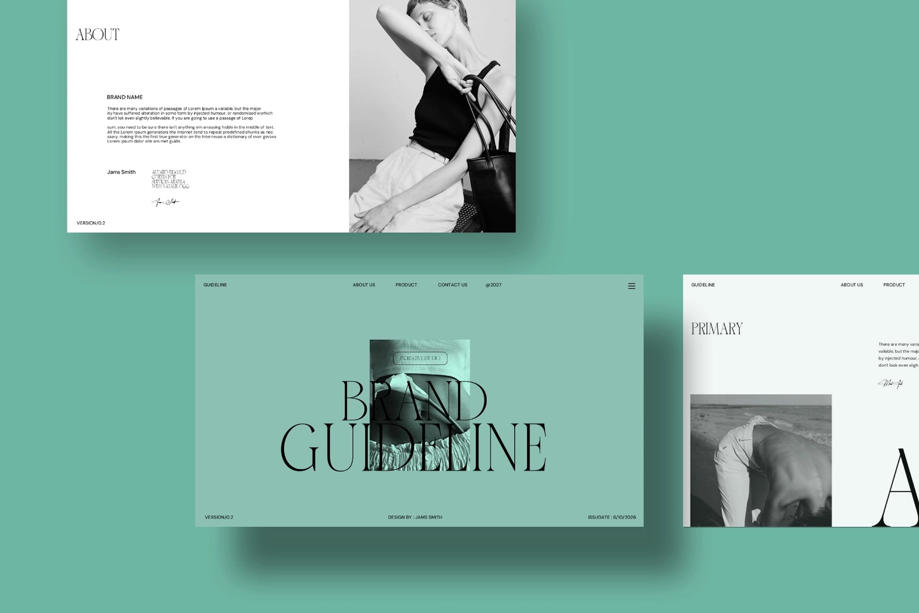 Brand Guideline Presentation Template