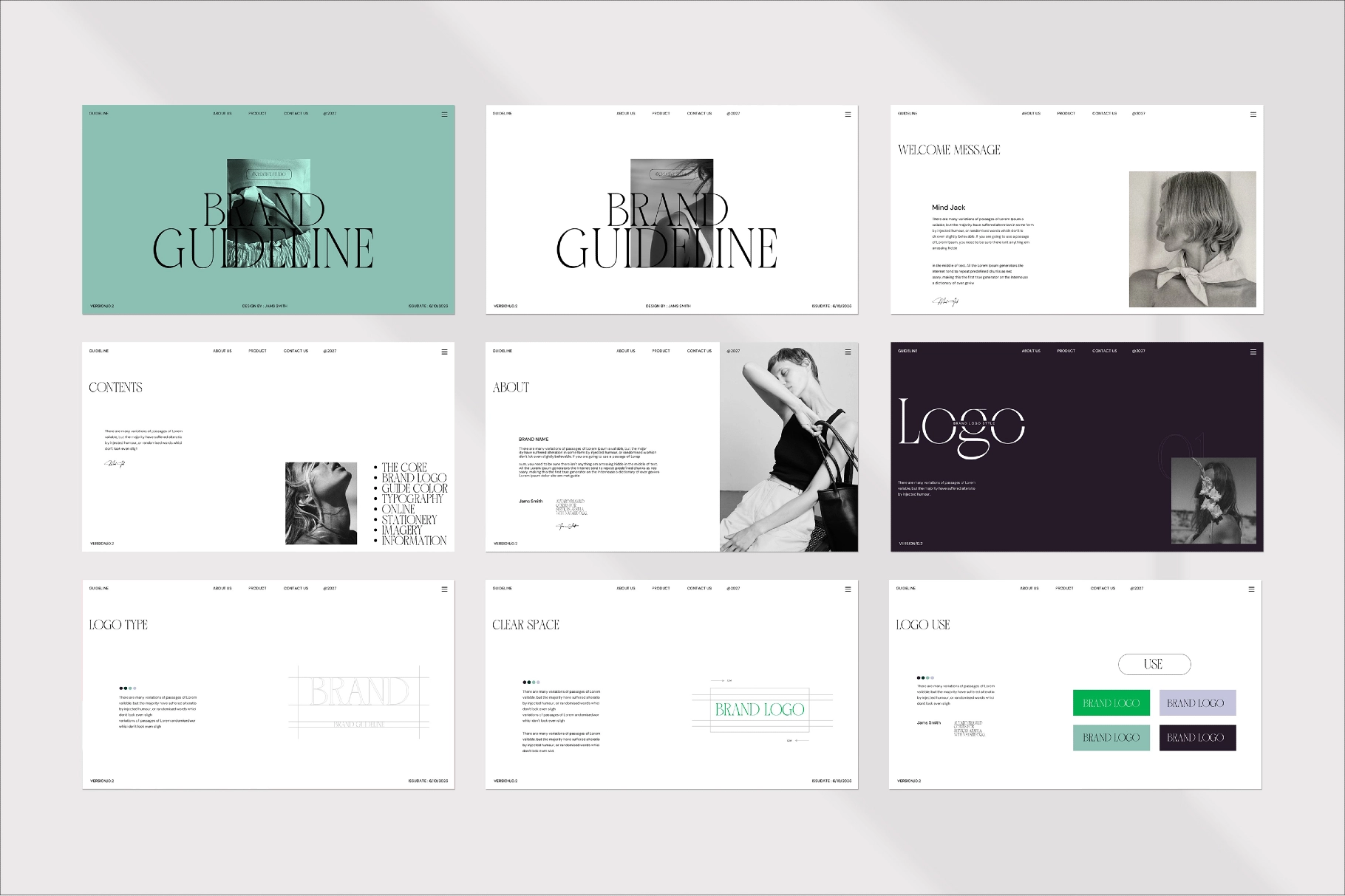 Brand Guideline Presentation Template