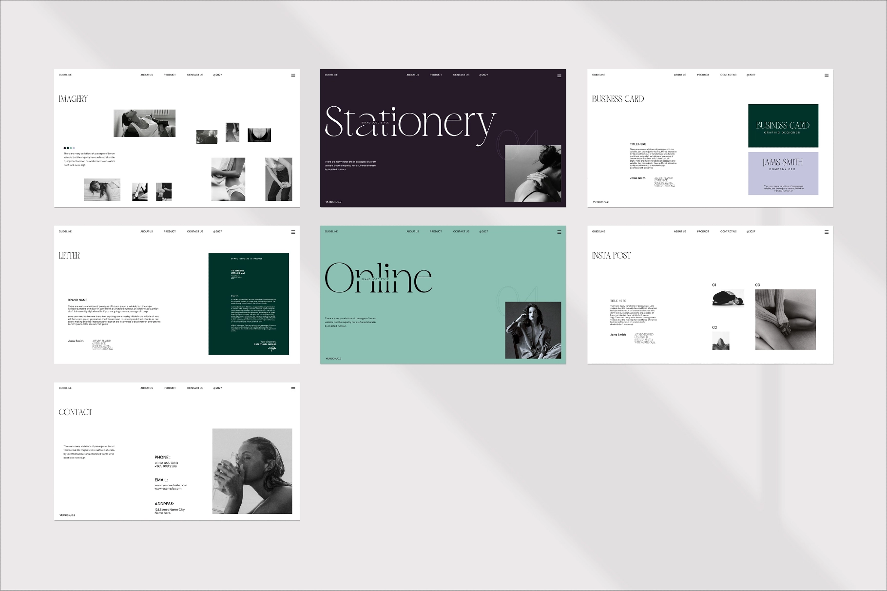 Brand Guideline Presentation Template
