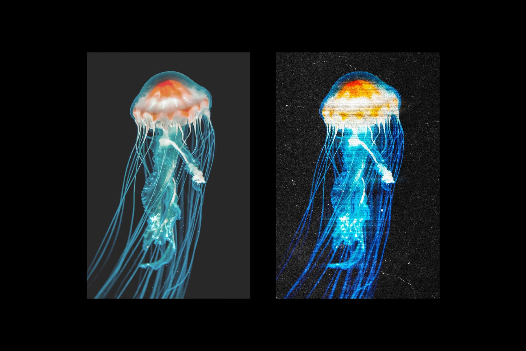 Scanned 1990 Photo Effect