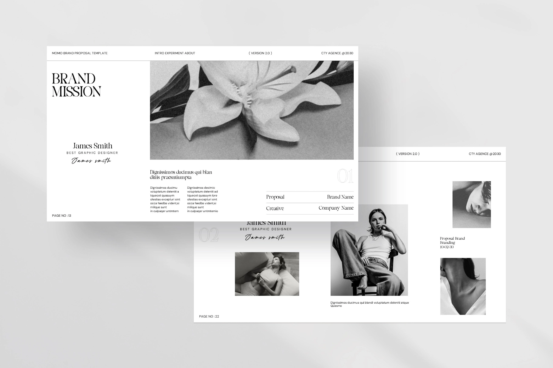 Brand Proposal Presentation Template