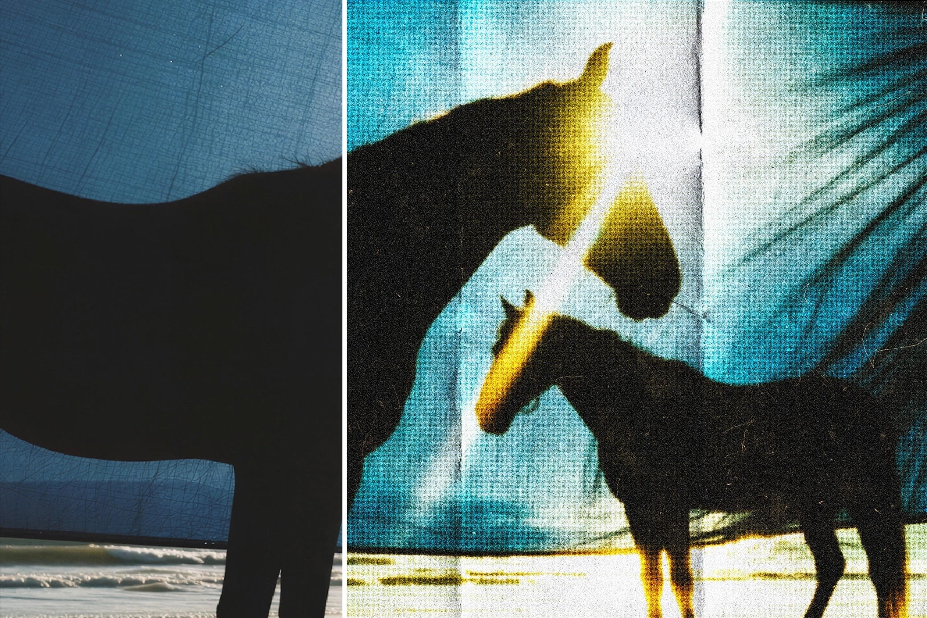 Halftone Folded Photo Card Effect