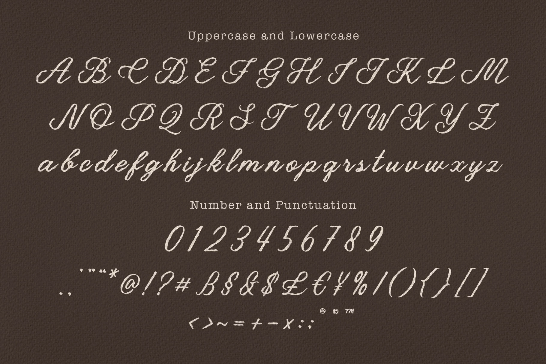 Palmeria a Textured Handwriting Font
