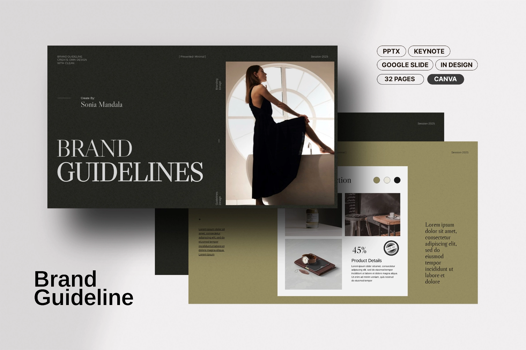 Brand Guideline Presentation Template