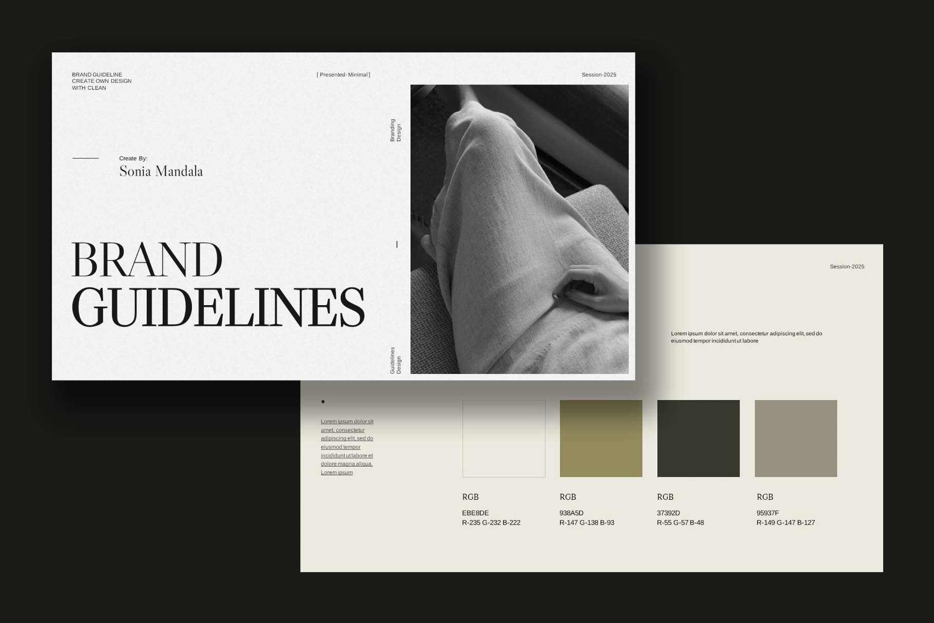 Brand Guideline Presentation Template
