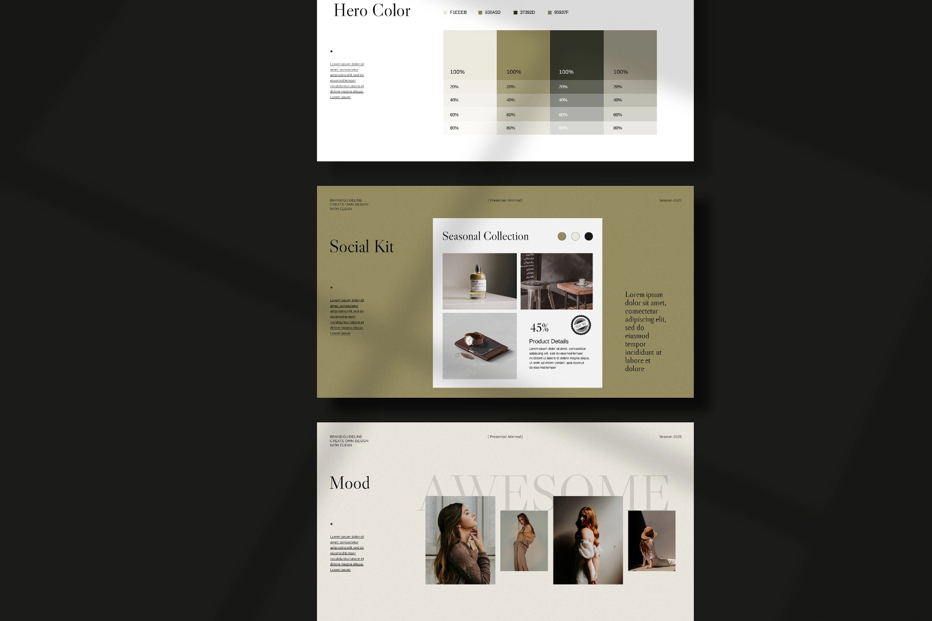 Brand Guideline Presentation Template