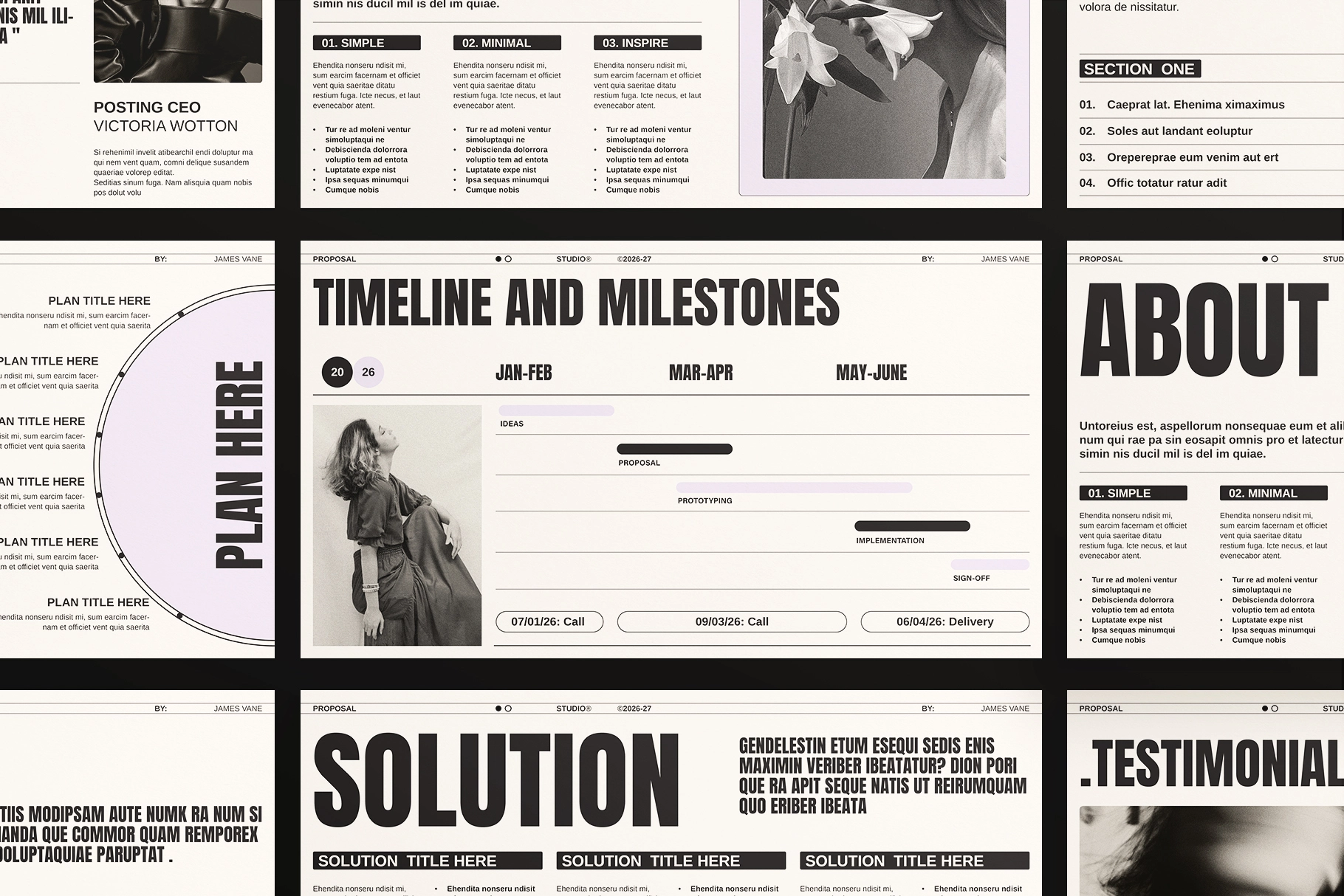 Proposal Presentation Template