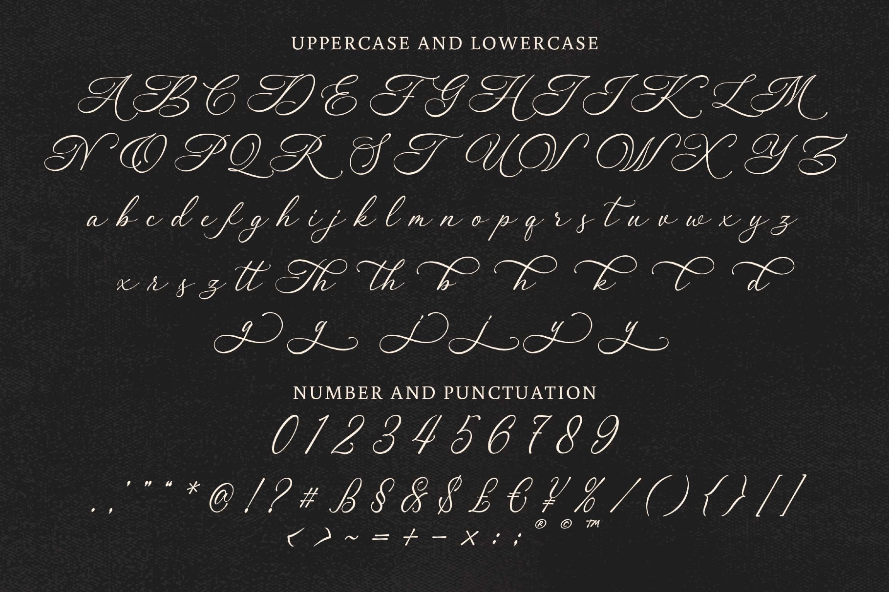 Rindeya a Clean Romantic Script Font