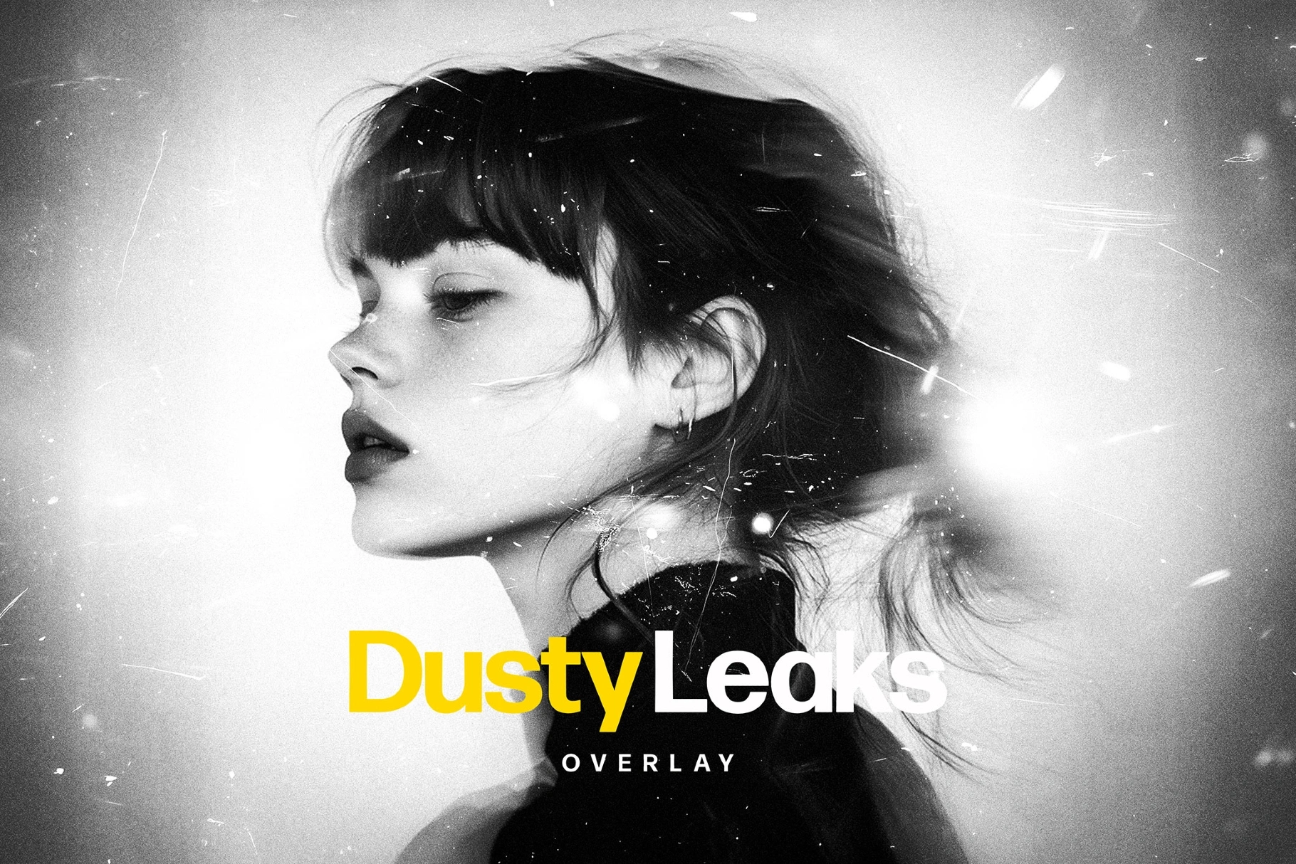 Dusty Leaks Overlay Photo Effect