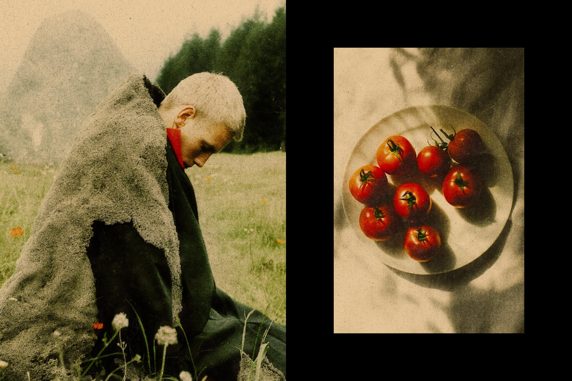 Vintage Printed Vibe Effect