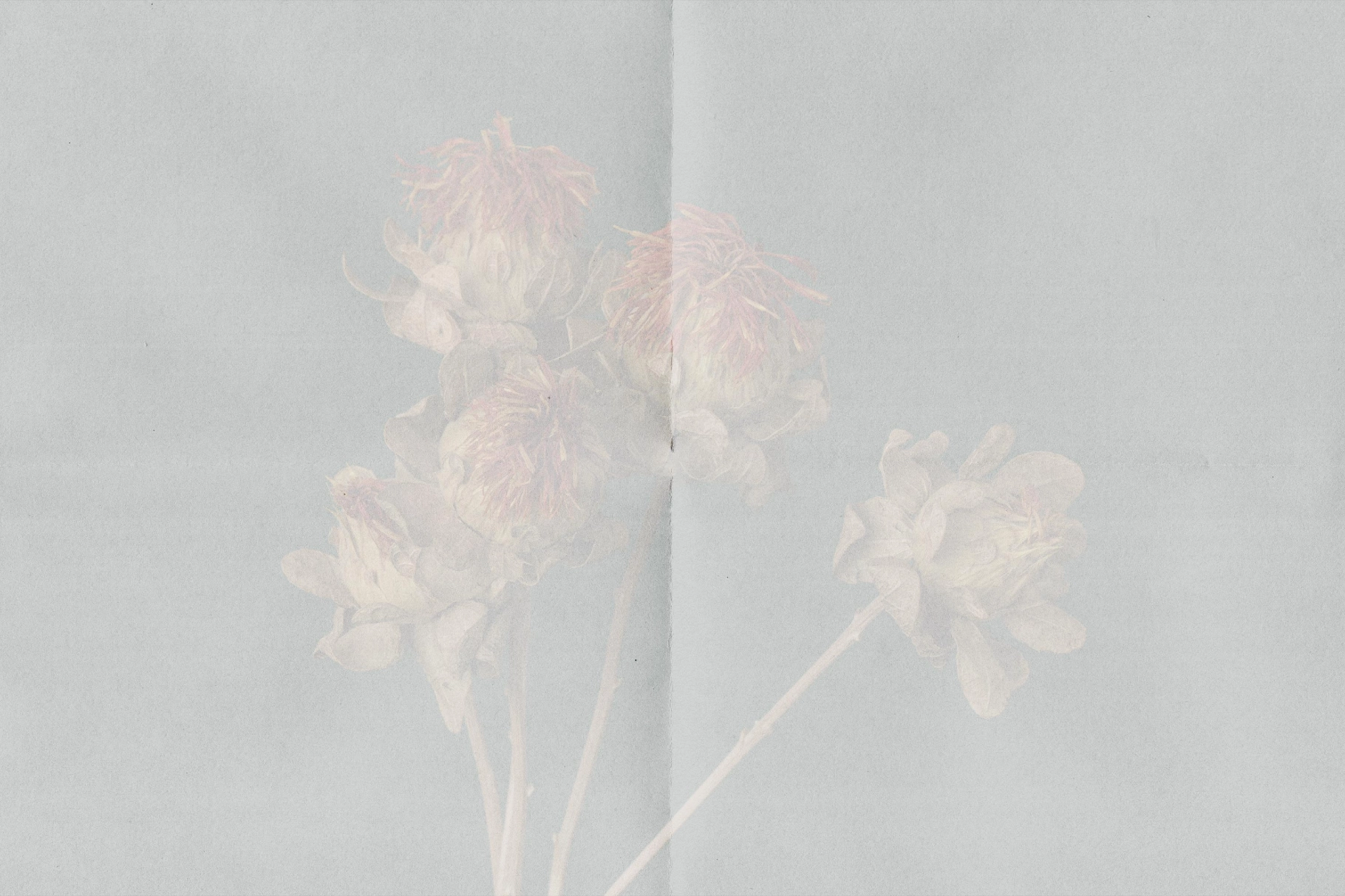 Folded Paper Textures Collection