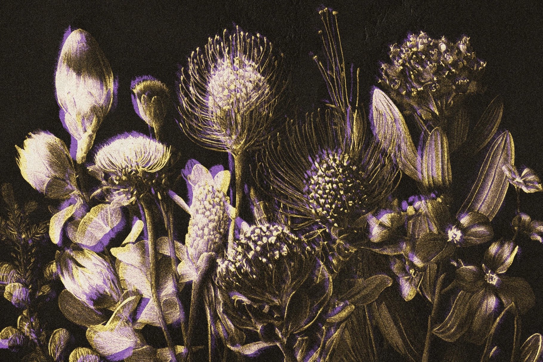 Vintage Paper Print Effect