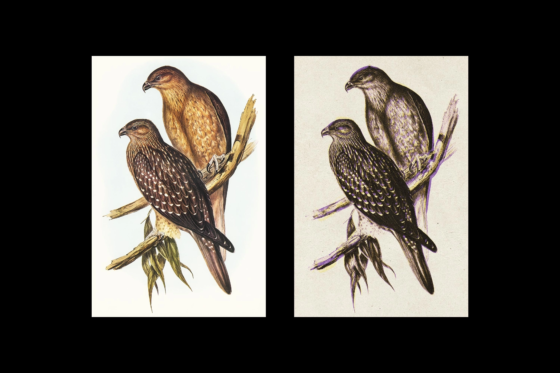 Vintage Paper Print Effect