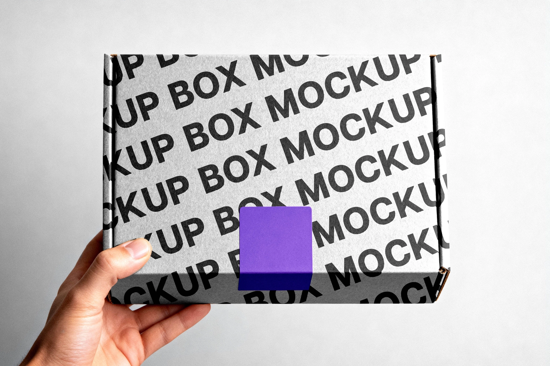 Cardboard Mailer Box Mockup