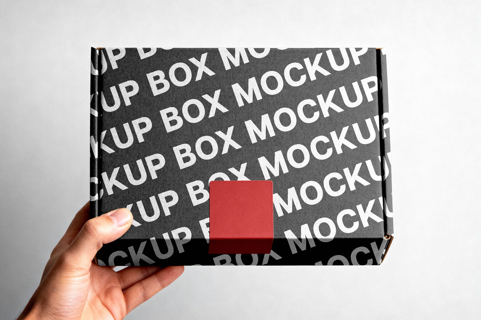 Cardboard Mailer Box Mockup