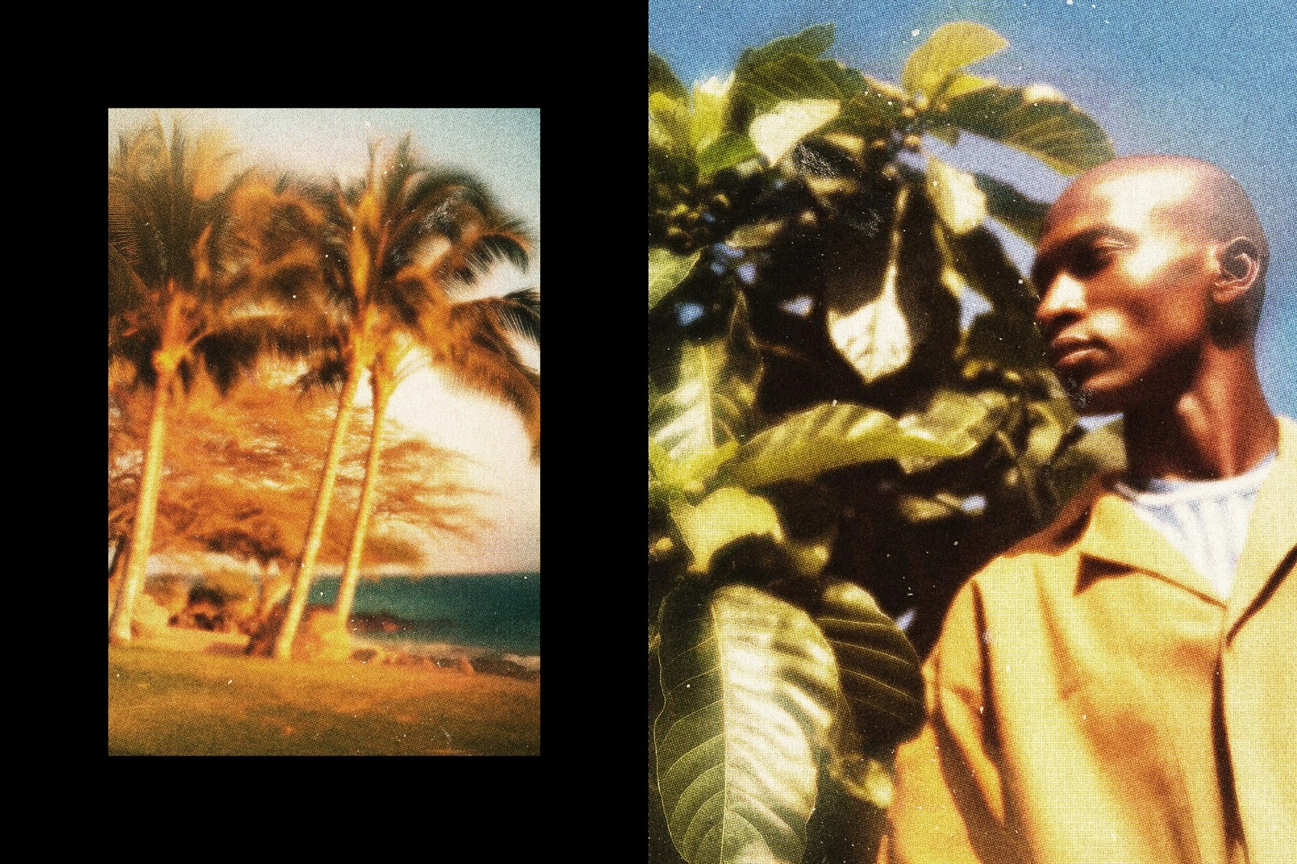 Daylight Postcard Effect