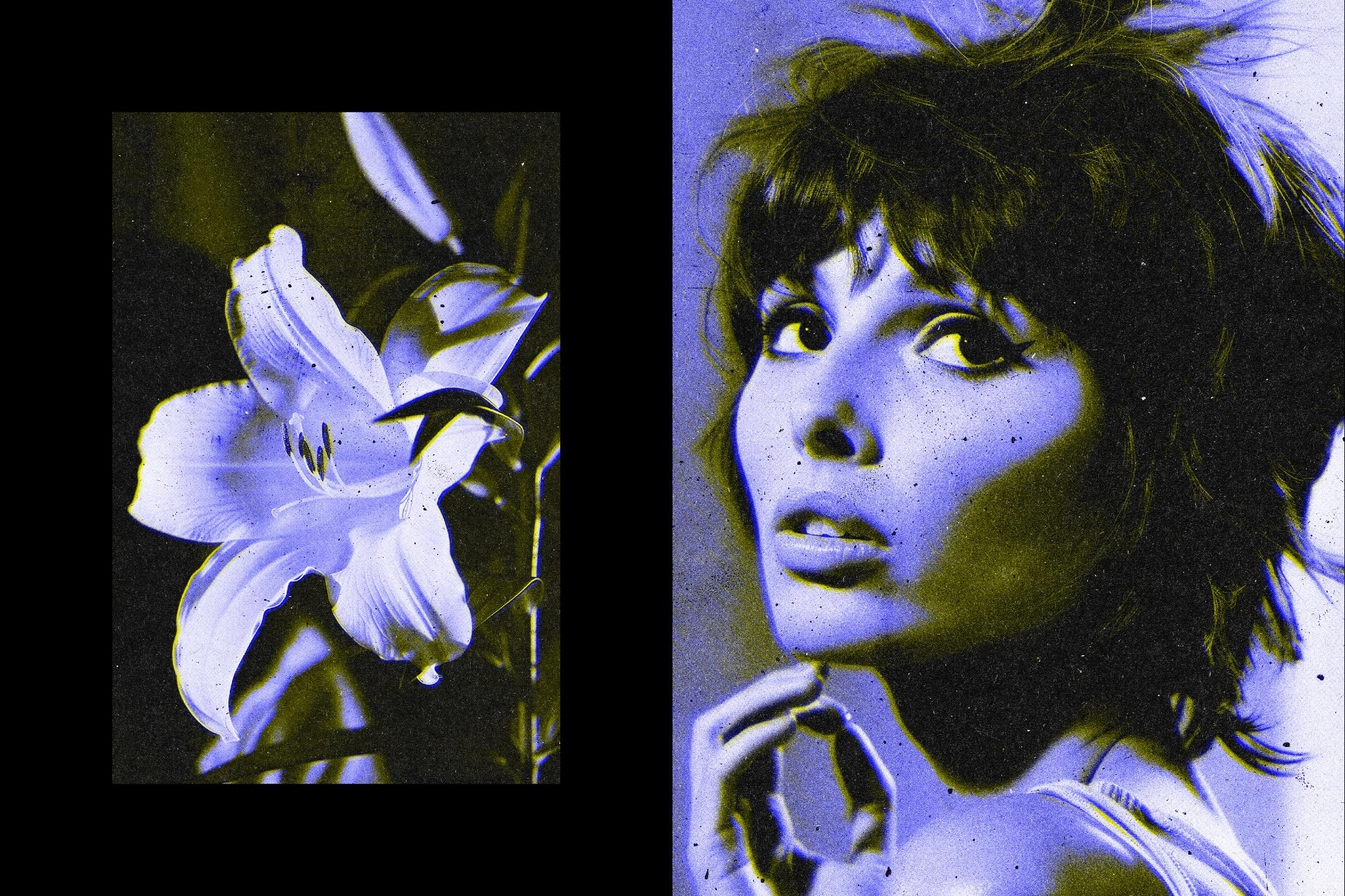 Duotone Retro Photo Effect