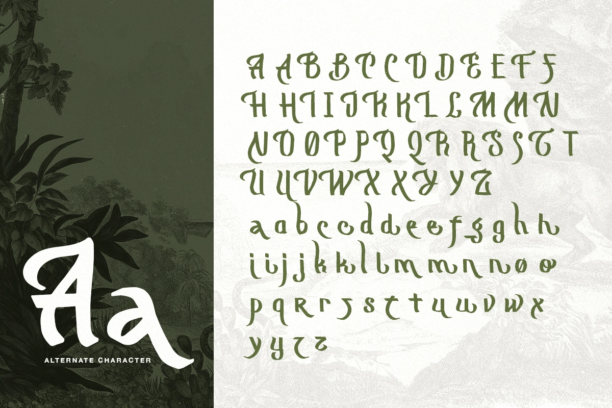 Mograph - Wild Handwritten Font