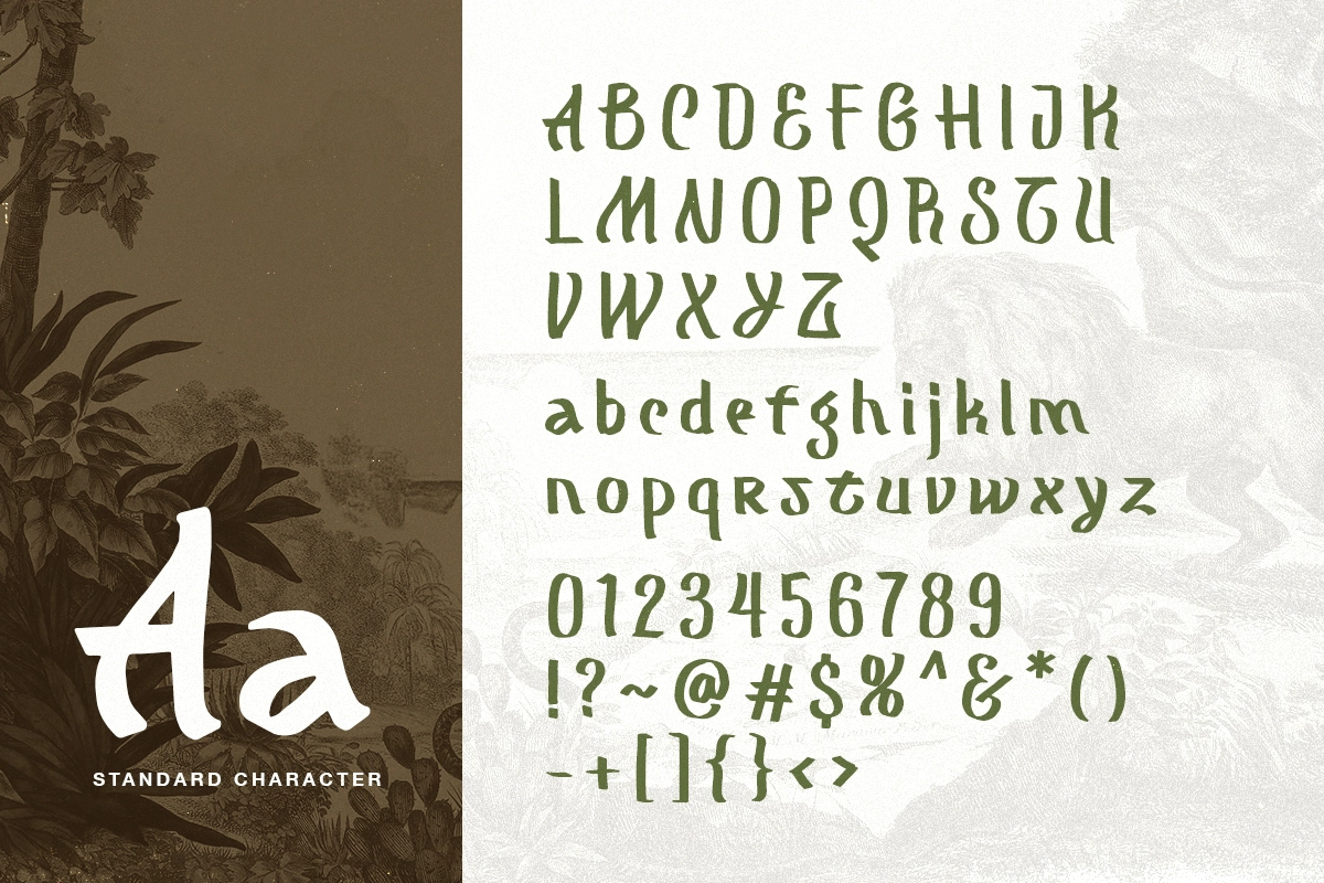 Mograph - Wild Handwritten Font
