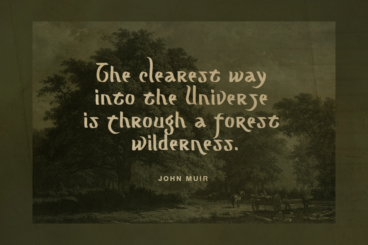 Mograph - Wild Handwritten Font