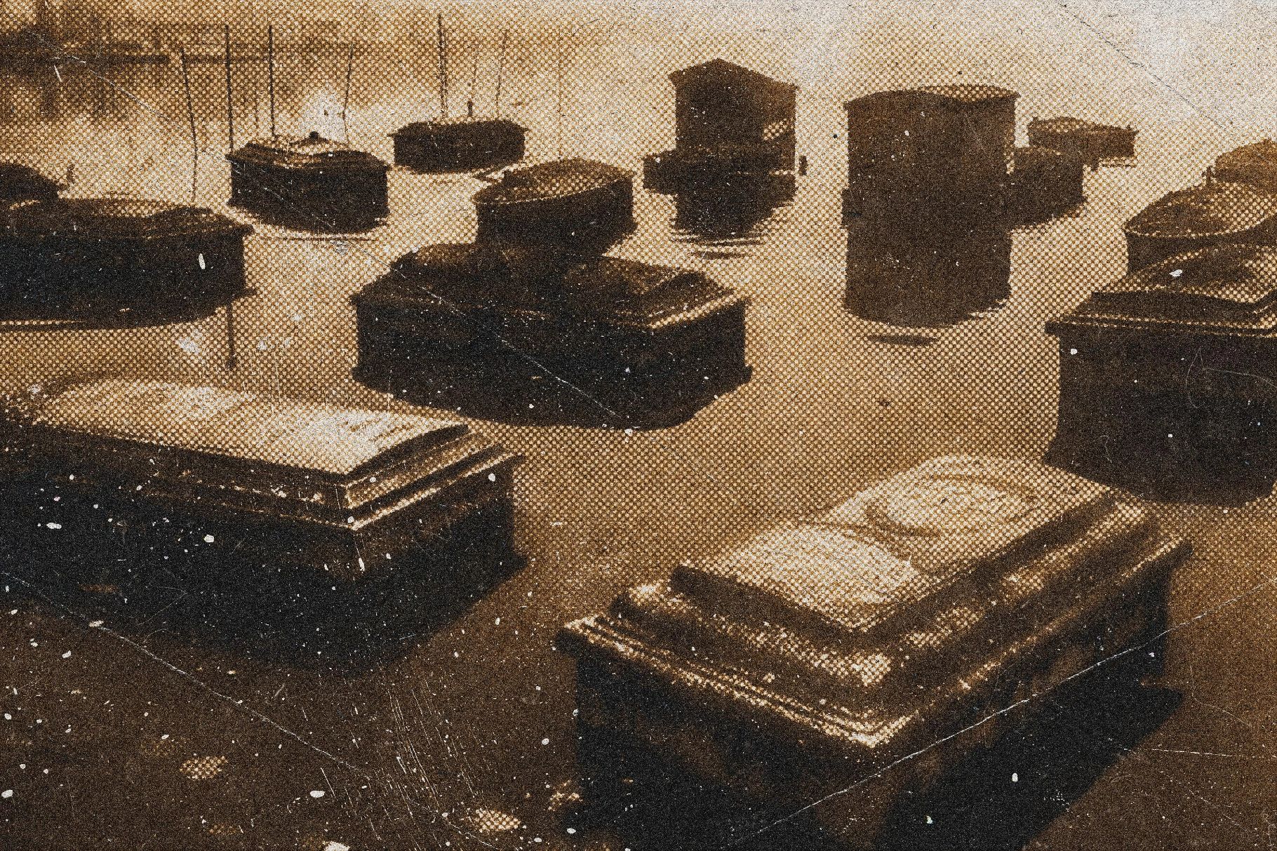 Monochrome Noise Photo Effect