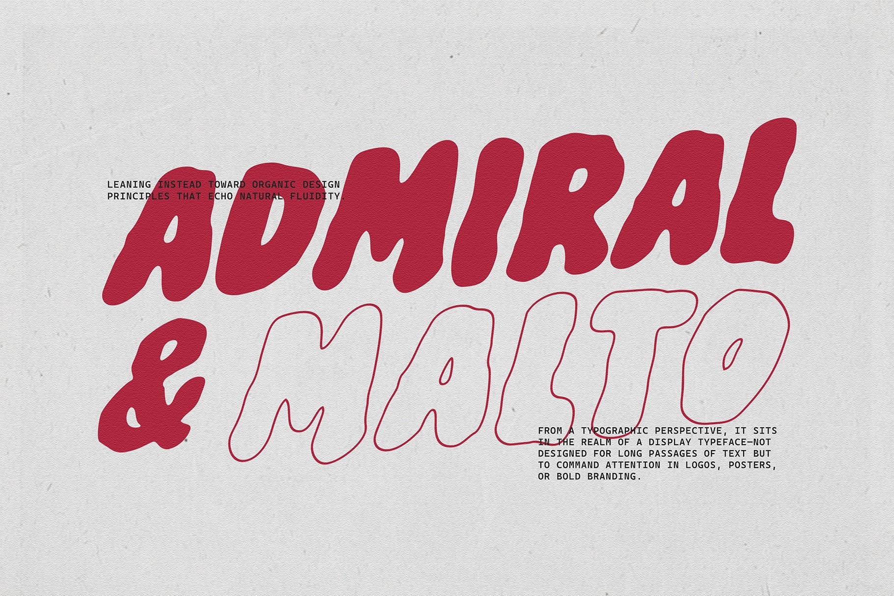 LazyHouse - Bold Display Font