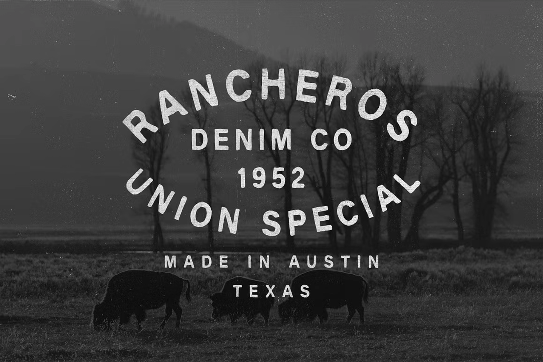 Wrangler Font Trio & Extra