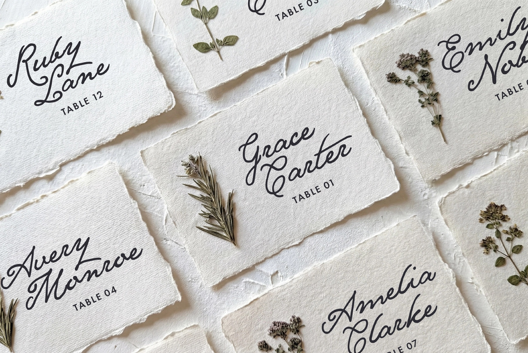 Golden Reverie — Nostalgic Script