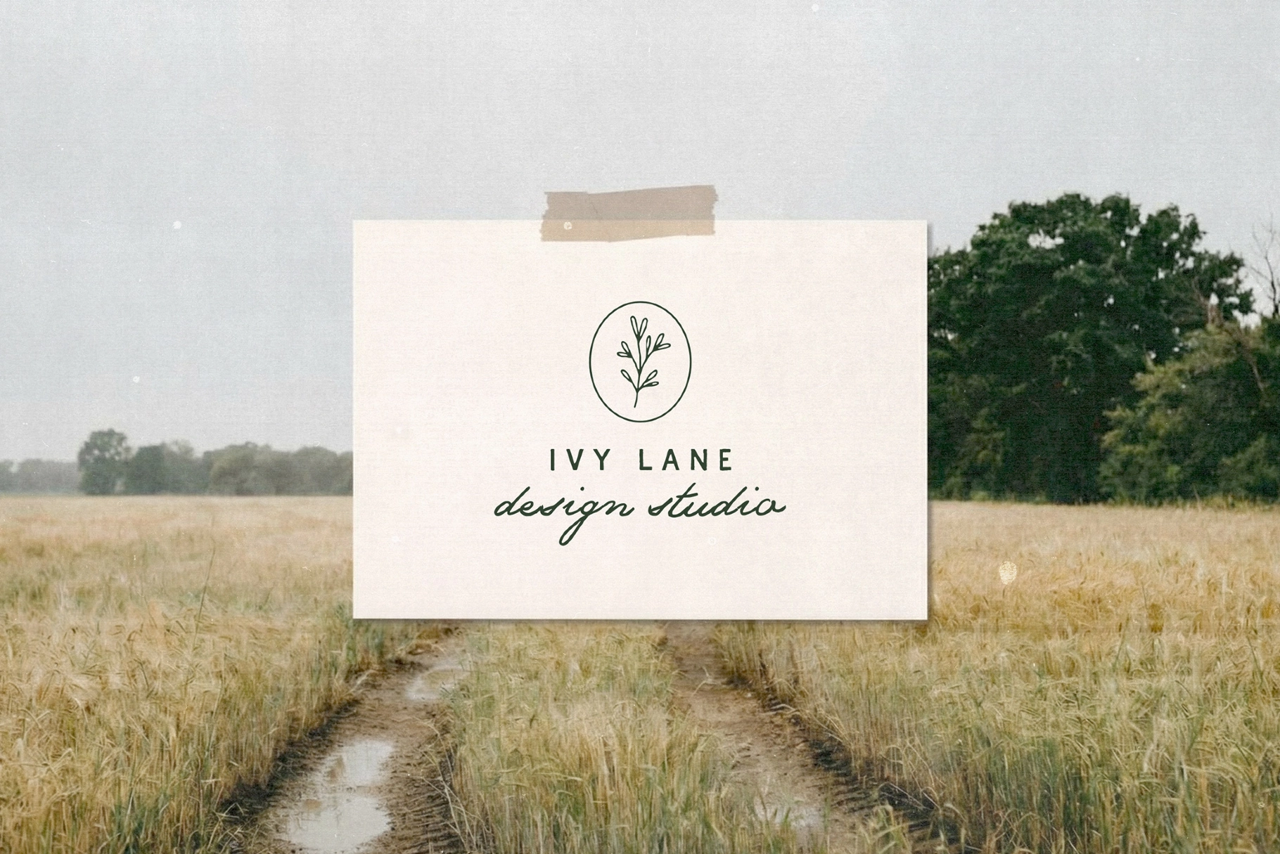 The Meadows — Font Trio & Extra