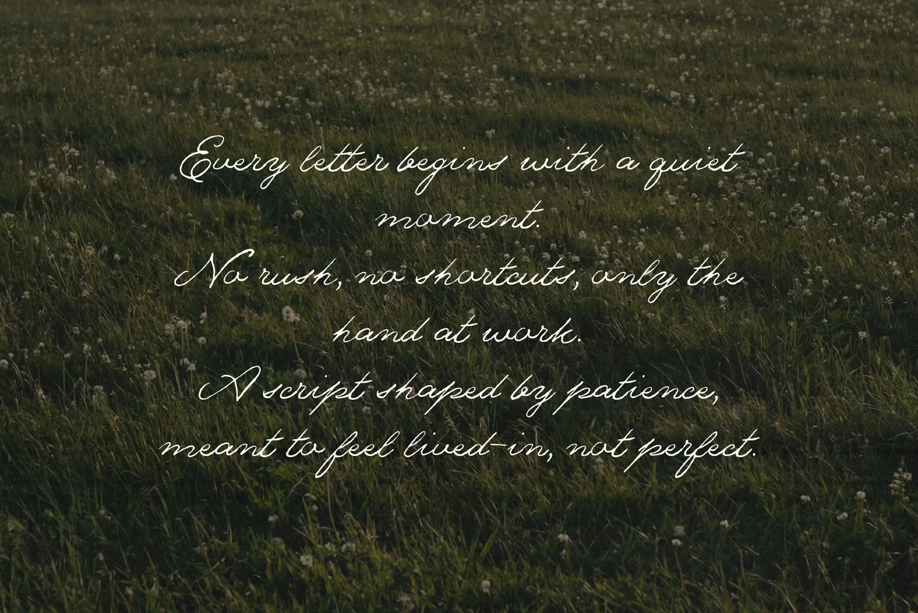 The Meadows — Font Trio & Extra