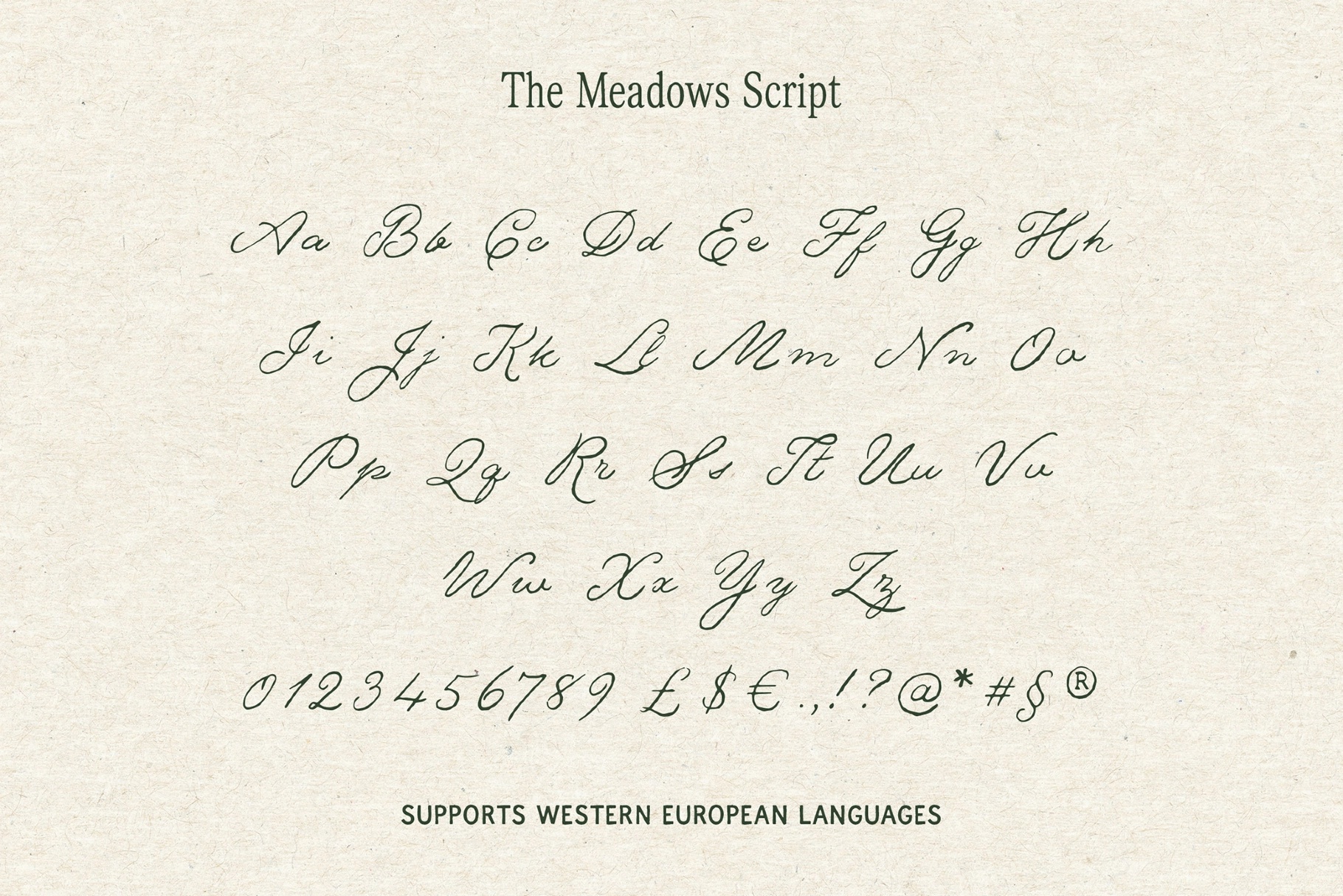 The Meadows — Font Trio & Extra