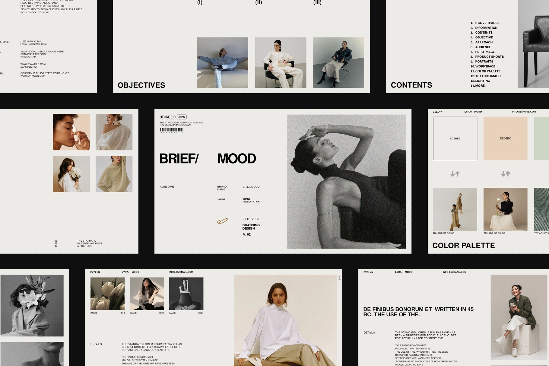 Mood And Brief Template