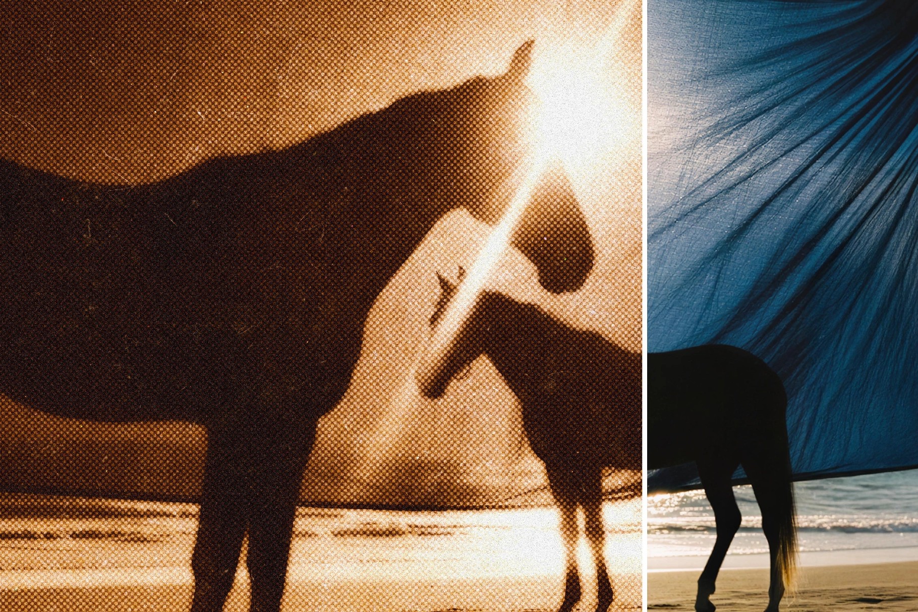 Dotted Paper Card Photo Effect