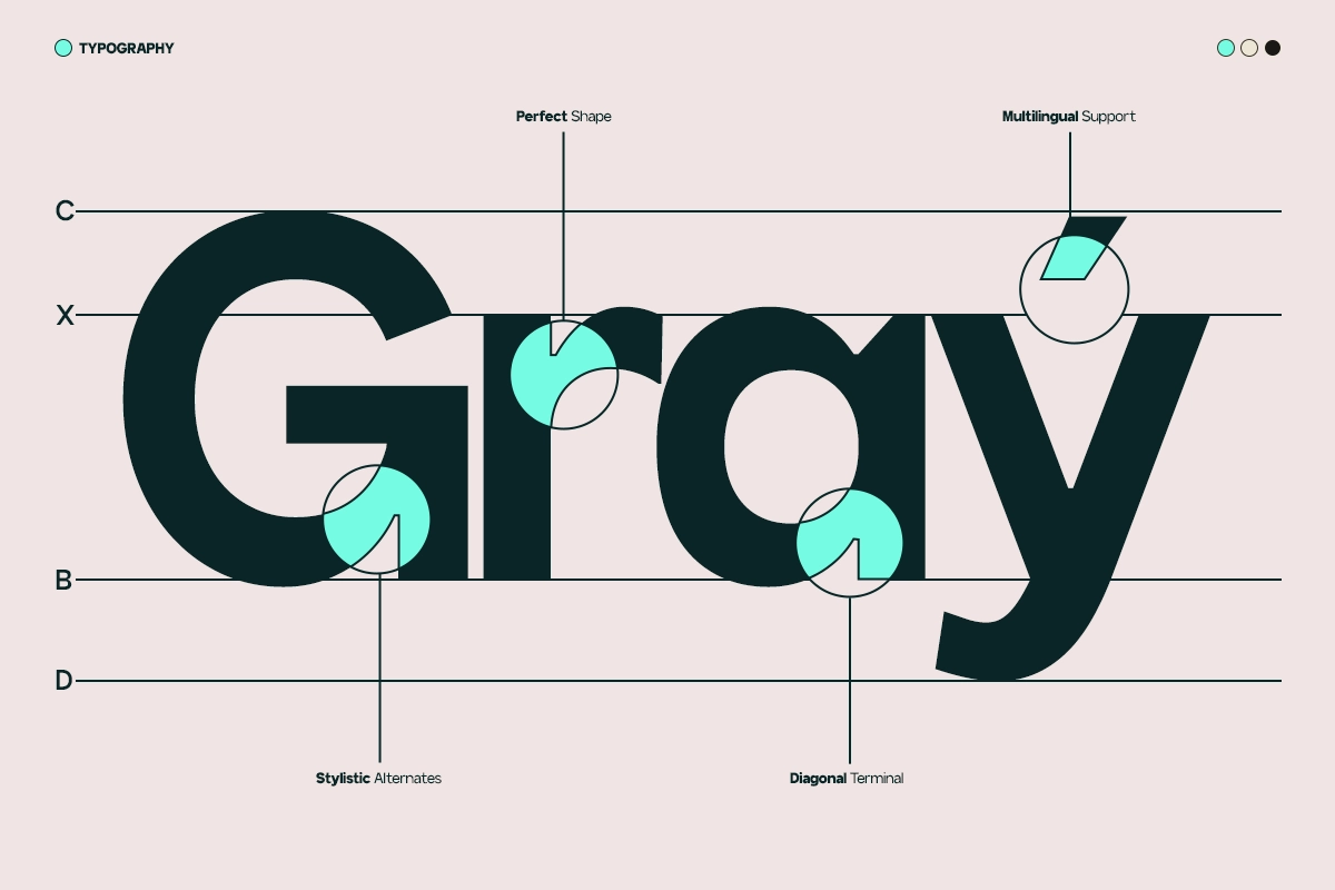 GC Protage – Pure Modern Clarity