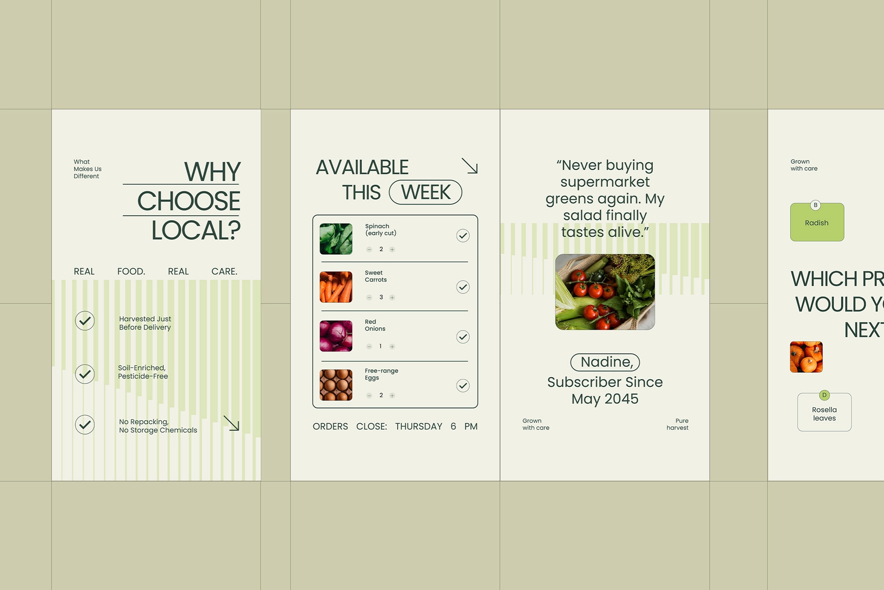 Groceries Instagram Pack for Affinity
