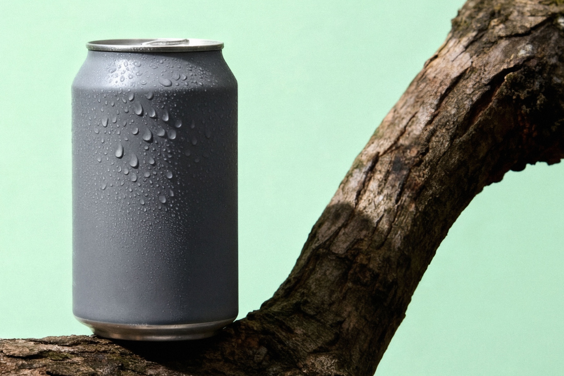 Aluminum Beverage Can Mockup