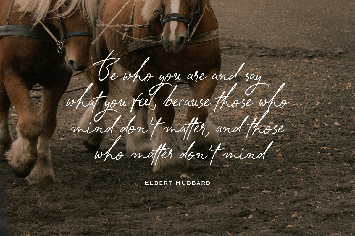 South Assign - Vintage Inspired Font